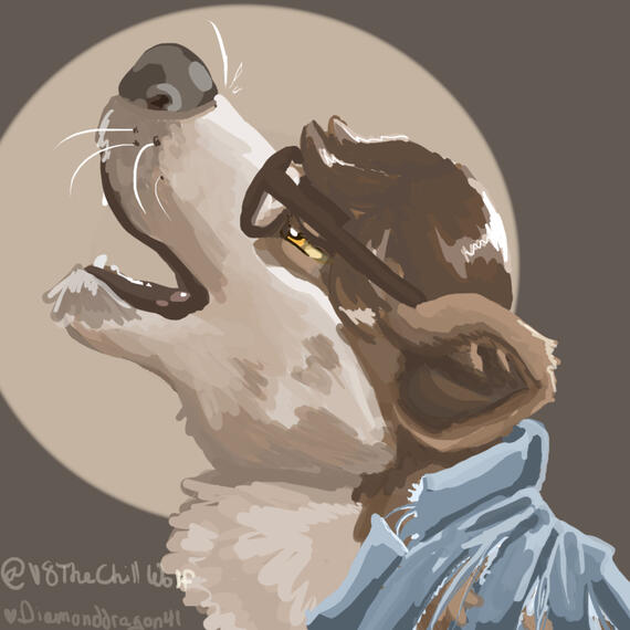 For V8TheChillWolf on Discord