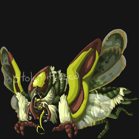 Adopt open for sale by me