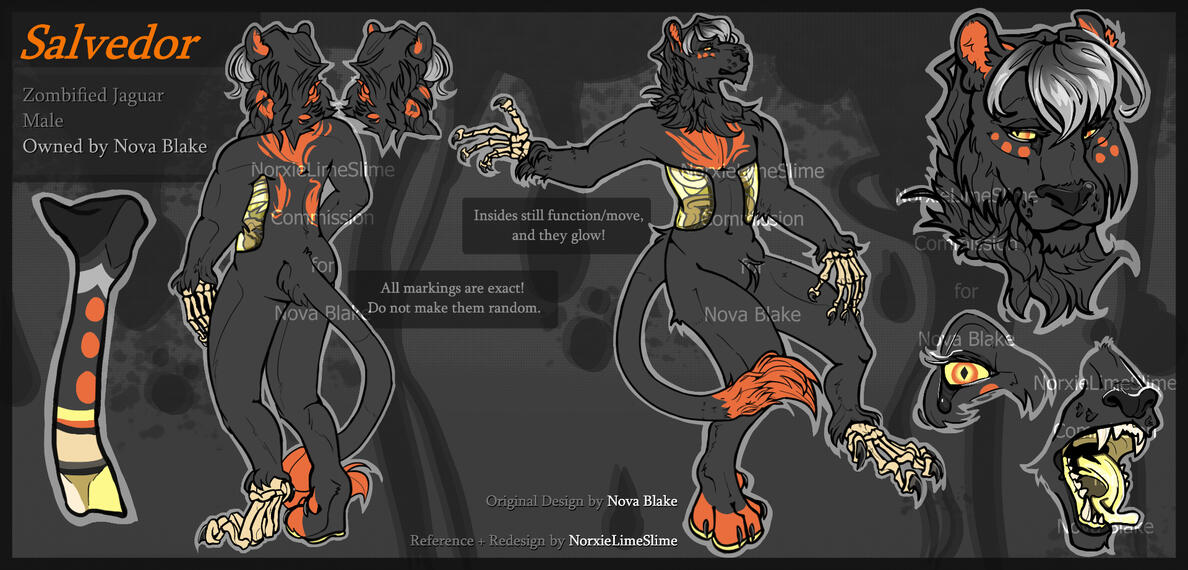 Commission for Nova Blake