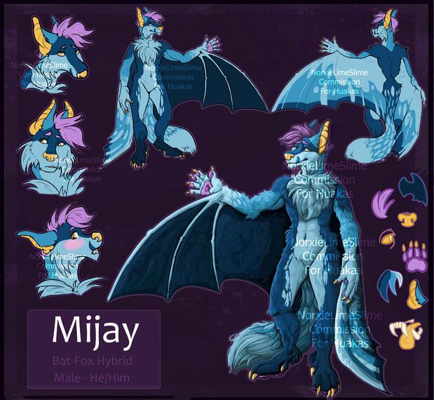 Commission for Huakas