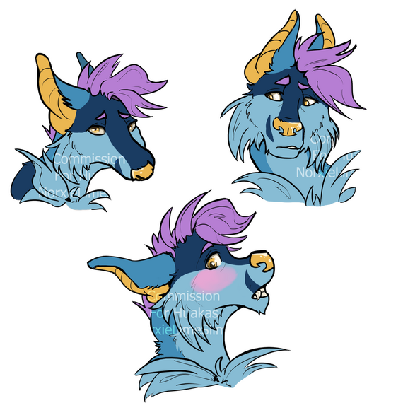 Commission for Huakas