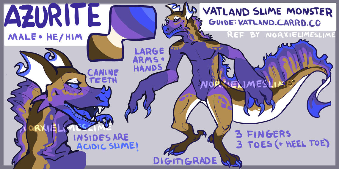 Raffle Prize for Zapsalis