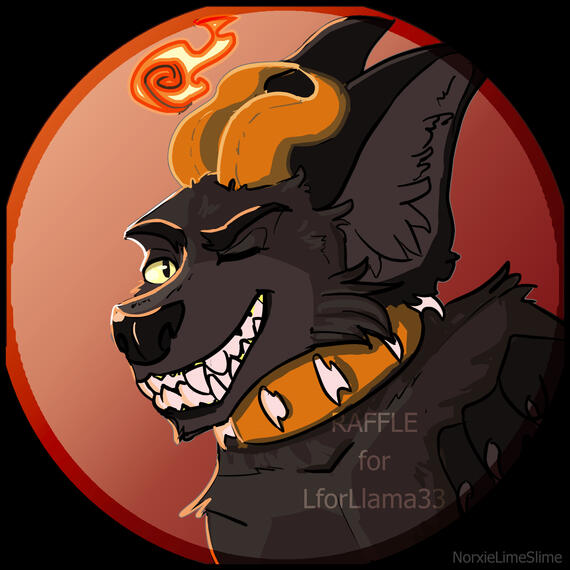 Raffle for LforLlama33 (Instagram)