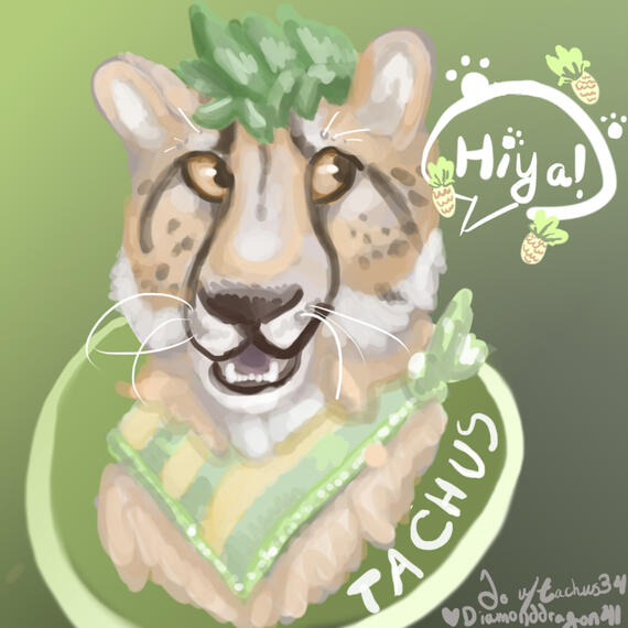 For u/Tachus34 on Reddit