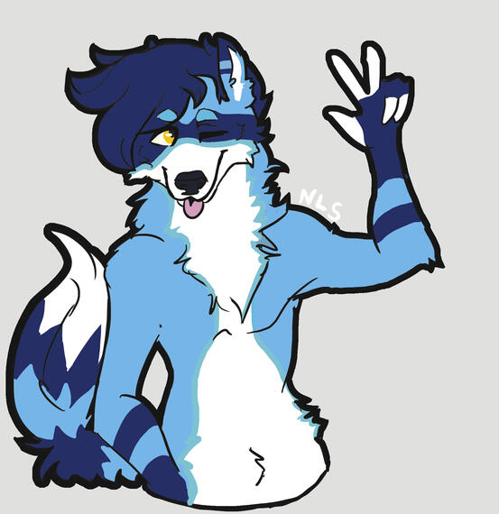 Lan, owned by @lancanine88 on Instagram