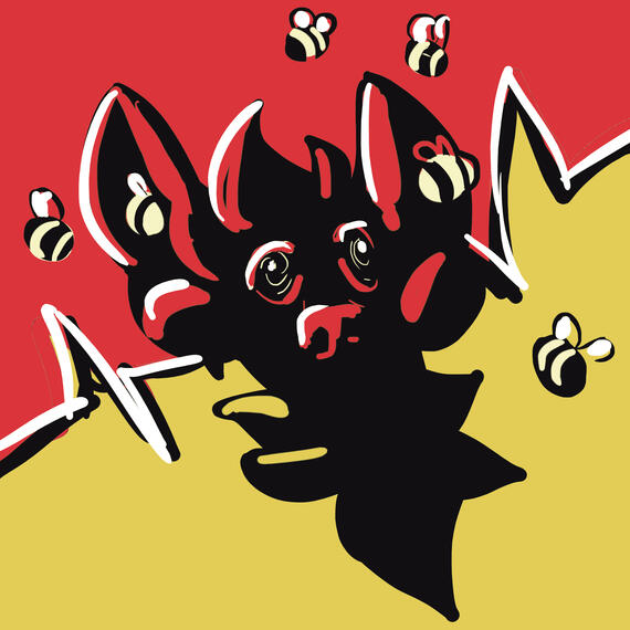 Norxie, owned by myself