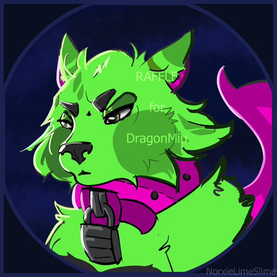 Owned by DragonMiu (ToyHouse)