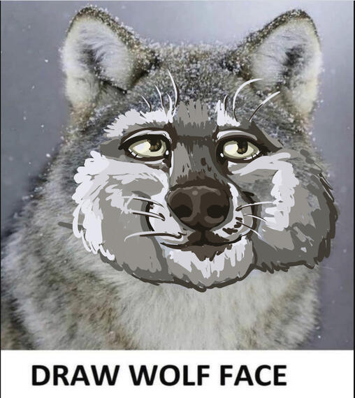 Random wolf, owned by myself