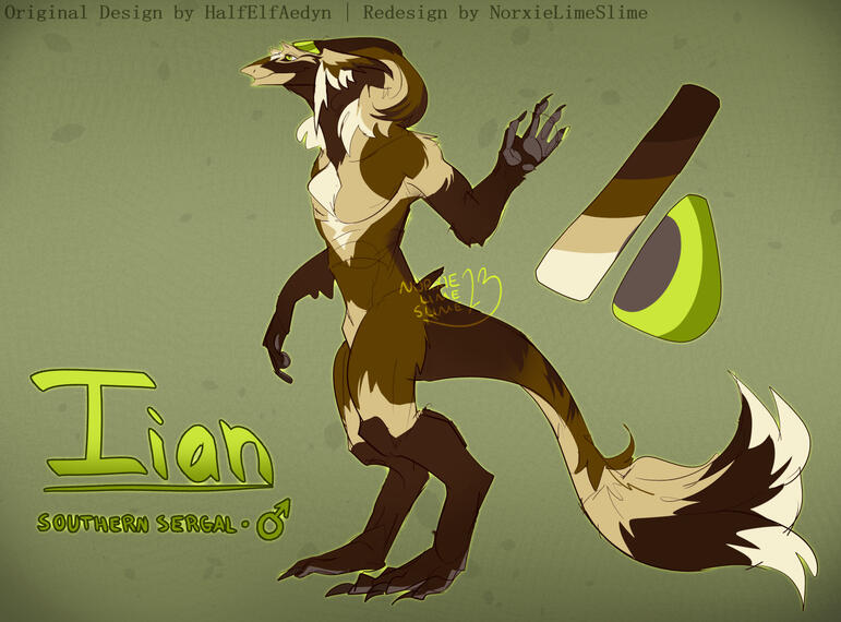 Sketch Reference for myself